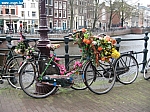 PB-GB 118.jpg